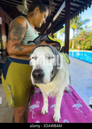 Una donna asciuga con cura il suo Golden retriever con un asciugamano su un'accogliente terrazza. Il cane sta pazientemente su un tappeto rosa, catturando l'essenza di un sole Foto Stock