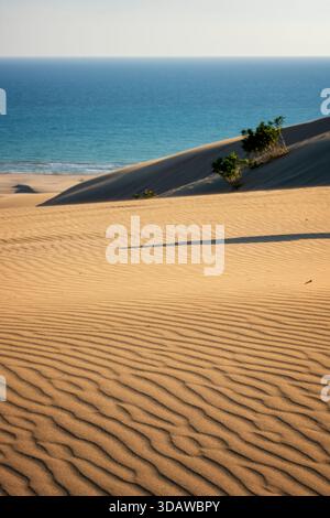 Le dune di sabbia dorata si estendono lungo Patara Beach, delimitata da vivaci onde blu dell'oceano. Le morbide curve e le ombre nella sabbia creano un ambiente sereno e pict Foto Stock