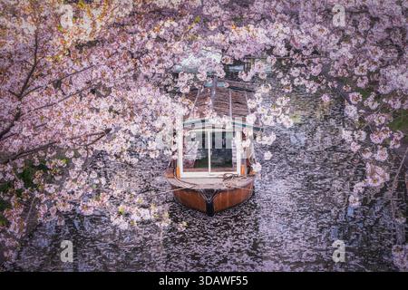 Vista di una tradizionale barca in legno che scivola attraverso un canale, abbracciata dai fiori rosa tenui di ciliegi, creando una scena da sogno, Kyoto, Kyoto, Foto Stock