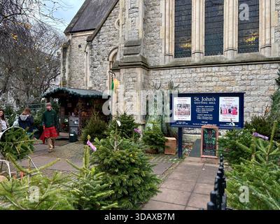 Londra, Regno Unito. 12 dicembre 2025. Gli alberi di Natale sono esposti in vendita all'esterno della St John's Church, nella zona di Kensington, a ovest di Londra, circa due settimane prima di Natale. Crediti: Alexander Seale/Alamy Live News Foto Stock