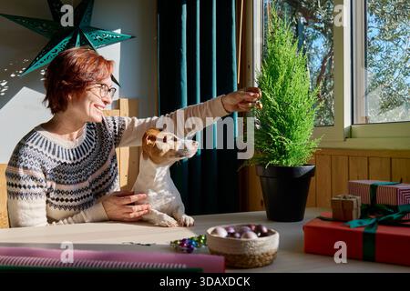 Donna con il suo cane Jack Russell Terrier che decora il cipresso in un vaso come albero di Natale con ornamenti per le festività invernali Foto Stock