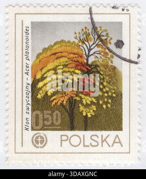 POLONIA — 1978 settembre 6: 50 francobollo d'oro e francobollo multicolore di grosz raffigurante opere d'arte Norway Maple and Wildlife Environment Fund Emblem. Protezione della fauna selvatica e dell'ambiente. Acer platanoides, comunemente noto come acero di Norvegia, è una specie di acero originaria dell'Europa centrale e orientale e dell'Asia occidentale, dalla Spagna orientale alla Russia, da nord alla Scandinavia meridionale e da sud-est all'Iran settentrionale. È stato introdotto in Nord America a metà degli anni '1700 come albero ombra. Fa parte della famiglia delle Sapindaceae Foto Stock