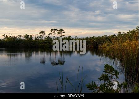 Piattaforma di osservazione Blue Hole, Big Pine Key, Florida Foto Stock