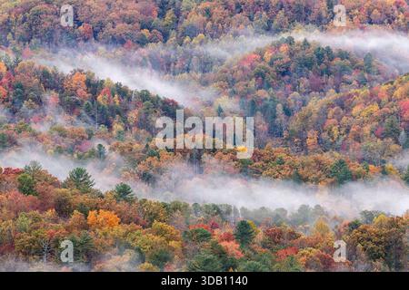 Splendida mattinata alle Great Smoky Mountains con colorate foglie autunnali e nebbia che si snodano attraverso le valli, da cui il nome Smoky. Foto Stock
