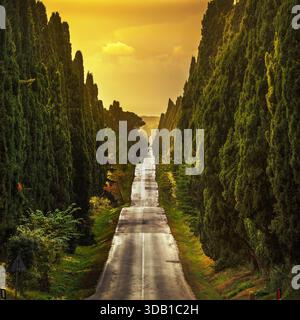 Bolgheri famosi cipressi alberi viale rettilineo orizzontale. Punto di riferimento della Maremma Toscana, Italia, Europa. Questo boulevard è famosa per il Carducci poesia. Foto Stock