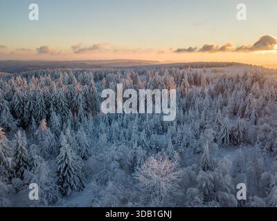 Alba aerea sopra la Foresta Nera ricoperta di neve Foto Stock