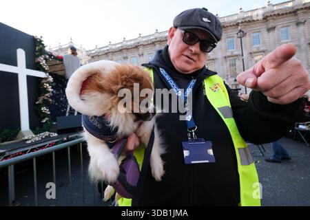 Whitehall, Londra, Regno Unito. 13 dicembre 2025. Gente al raduno Unite the Kingdom a Whitehall, Londra. Crediti: Matthew Chattle/Alamy Live News Foto Stock