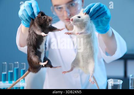 Scienziato che lavora con topi carini in laboratorio, primo piano Foto Stock