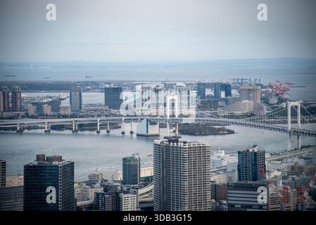 Il Rainbow Bridge attraversa la baia di Tokyo verso le torri, le gru e il quartiere portuale di Odaiba in una giornata nebbiosa. Foto Stock