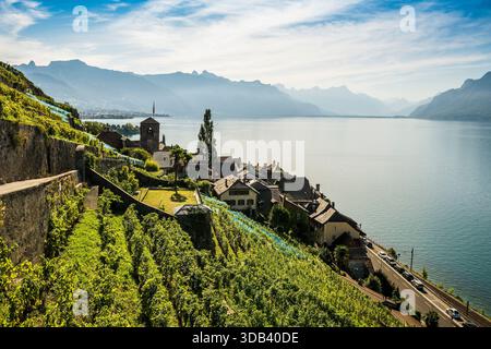 Pittoresco villaggio tra i vigneti del lago, Saint-Saphorin, Lavaux, patrimonio dell'umanità dell'UNESCO, Lago di Ginevra, Lac Léman, Cantone di Vaud, Svizzero Foto Stock
