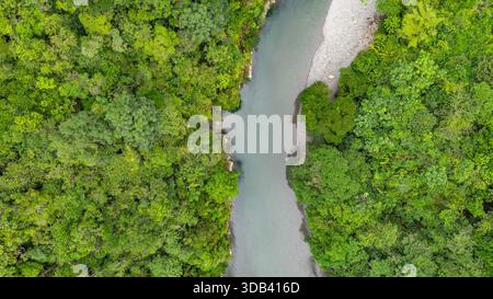 Vista aerea mozzafiato di un tranquillo fiume che scorre attraverso una fitta foresta verde ad Agua Clara, Valle del Cauca, Colombia. Foto Stock