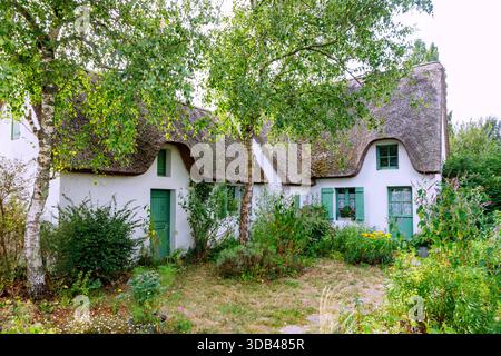 Case di paglia nell'Ile de Fédrun nel Parc Regional de Briere sulla penisola di Guérande, Côte d'Amour, Pays de la Loire, Loire-Atlantique, Bretagna, Foto Stock