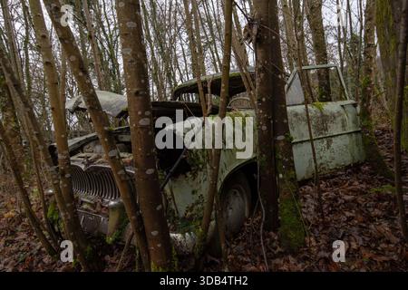 Auto d'epoca ricoperta di muschio superata da alberi in un bosco francese ricoperto di vegetazione Foto Stock