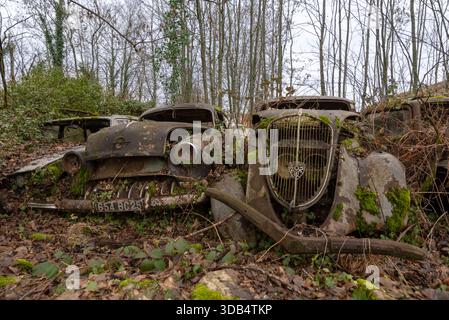 Relitti d'auto d'epoca ricoperti di muschio in un cimitero francese sovrastato - griglie arrugginite e patina tra i boschi sottobosco Foto Stock