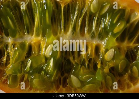 Una vista ravvicinata della carne di un kiwano. Foto Stock