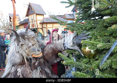 Thale, Germania. 14 dicembre 2025. Una persona vestita da lupo è fuori e intorno al mercatino di Natale nel villaggio delle streghe su Hexentanzplatz e decora l'albero di Natale. Per la prima volta, c'è un mercatino di Natale a Hexentanzplatz, che ha attirato molti visitatori. Crediti: Matthias Bein/dpa/ZB/dpa/Alamy Live News Foto Stock