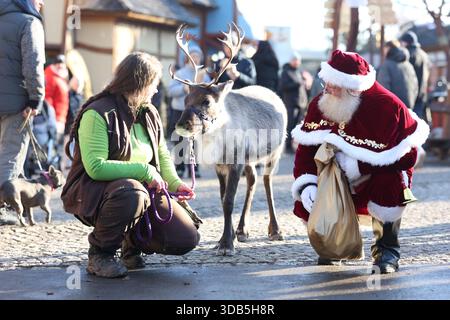 Thale, Germania. 14 dicembre 2025. La custode degli animali Lisa Hinrichs conduce le renne con "Babbo Natale" attraverso il mercato di Natale nel villaggio delle streghe a Hexentanzplatz. Le renne dello zoo di Hexentanzplatz sono state preparate per l'escursione per un lungo periodo di tempo. Crediti: Matthias Bein/dpa/ZB/dpa/Alamy Live News Foto Stock