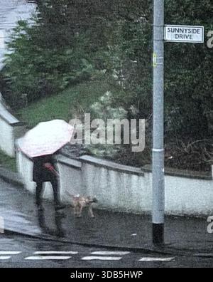 Glasgow, Scozia, Regno Unito. 14 dicembre 2025. Meteo nel Regno Unito: La città coperta da nuvole buie, vento e pioggia mentre la gente del posto lottava per le strade della città. Credit Gerard Ferry/Alamy Live News Foto Stock