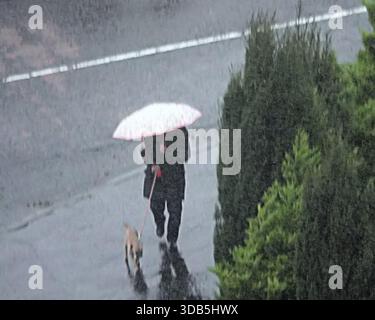 Glasgow, Scozia, Regno Unito. 14 dicembre 2025. Meteo nel Regno Unito: La città coperta da nuvole buie, vento e pioggia mentre la gente del posto lottava per le strade della città. Credit Gerard Ferry/Alamy Live News Foto Stock