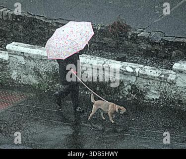 Glasgow, Scozia, Regno Unito. 14 dicembre 2025. Meteo nel Regno Unito: La città coperta da nuvole buie, vento e pioggia mentre la gente del posto lottava per le strade della città. Credit Gerard Ferry/Alamy Live News Foto Stock