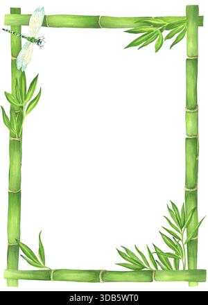 Cornice rettangolare di steli e foglie di bambù verde e libellula. Cornice floreale. Clipart del giardino cinese. Illustrazione ad acquerello disegnata a mano per Asian-t Foto Stock