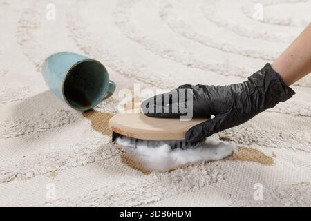 Il lavoratore professionista utilizza schiuma e spazzola per trattare la macchia del caffè su un tappeto a trama leggera negli interni della casa Foto Stock