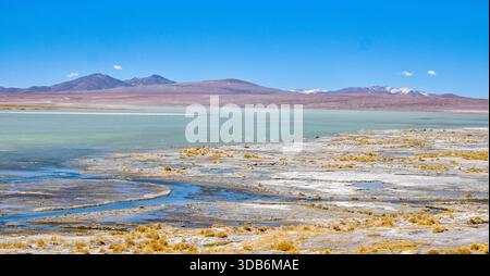 Le sorgenti termali di Chalviri i termales di Aguas che fluiscono nel lago salato di Salar de Chalviri nel sud della Bolivia in Sud America Foto Stock