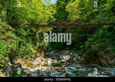 Un tranquillo ponte sospeso in legno attraversa un fiume in mezzo a foreste verdi vibranti, evocando avventura ed esplorazione pacifica nella selvaggia Soc slovena Foto Stock