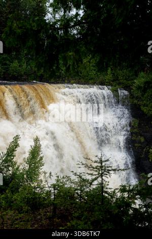 Una potente cascata si estende su una parete rocciosa scura, incorniciata da lussureggianti alberi verdi. Foto Stock