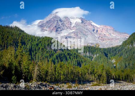 Una vista panoramica cattura il Monte Rainier che torreggia sul bellissimo fiume Paradise, come si vede dal Carter Falls Trail nel Mount Rainier National Foto Stock