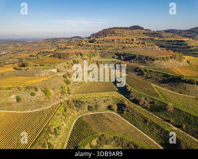 Immagine aerea dei vigneti della terrazza durante la stagione autunnale nella zona di Kaiserstuhl, Germania Foto Stock