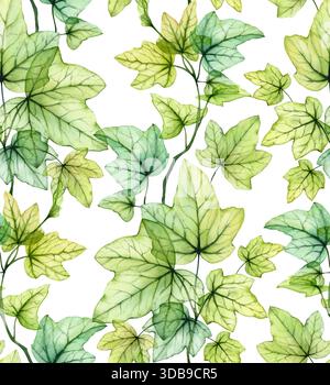 l'edera trasparente lascia un motivo floreale senza cuciture. Rami e foglie di colore verde acquerello su sfondo bianco. Design isolato disegnato a mano per sfondi Foto Stock