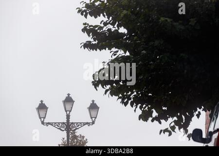 Uno scatto ravvicinato e dall'angolo basso di un'illuminazione stradale tradizionale a tre lampade, parzialmente visibile sotto il fogliame scuro e denso di un grande albero. La b Foto Stock