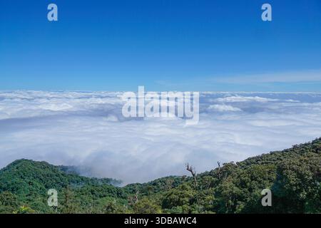 Splendida vista aerea di un maestoso mare di nuvole sulle lussureggianti cime verdi delle montagne sotto un cielo blu cristallino, catturando la serena bellezza della natura. Foto Stock