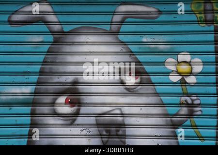 Murale di Street art di una figura di un cartone animato su un otturatore metallico che regge una margherita bianca su uno sfondo blu. Nantes, Francia Foto Stock