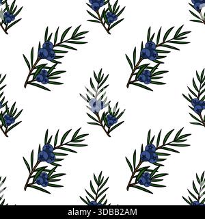 Modello vettoriale senza cuciture di rami di ginepro con bacche blu e aghi verdi. Illustrazione Vettoriale
