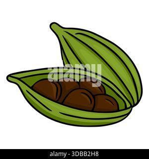 Illustrazione vettoriale stilizzata di due cialde di cardamomo verdi, una aperta per rivelare semi marrone scuro, su sfondo bianco. Illustrazione Vettoriale