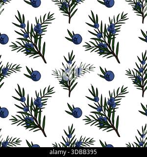 Motivo vettoriale senza cuciture di rami di ginepro con bacche blu maturo, caratterizzato da uno stile pulito e illustrativo. Illustrazione Vettoriale