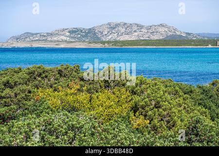 I cespugli verdi incorniciano un vasto mare azzurro con montagne in lontananza sotto un cielo limpido in Sardegna Foto Stock