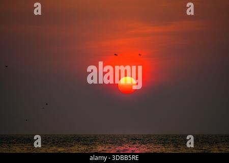 La vista di un sole infuocato si abbassa, proiettando un caldo bagliore sul mare tranquillo, mentre gli uccelli danzano nel cielo crepuscolo, Kochi, Kerala, India. Foto Stock