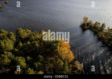 Veduta aerea delle acque scure del lago che incontrano la vibrante foresta color autunno, creando un incredibile contrasto tra gli elementi della natura, Angso e Vastmanland Foto Stock