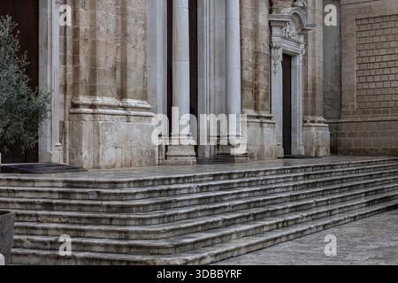 scale storiche in pietra che conducono alla grandiosa entrata di un'antica chiesa europea o edificio con colonne classiche e consistenza in marmo intempestivo Foto Stock