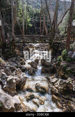 Torrente di montagna nella Riserva della Biosfera di Jabal Moussa sulle pendici del Monte Libano nel distretto di Keserwan del Libano Foto Stock