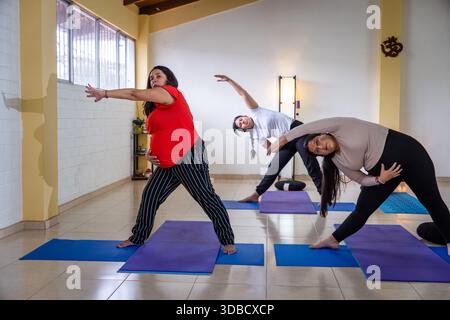 Gruppo di donne incinte che praticano lo yoga sui tappetini durante una lezione di fitness prenatale Foto Stock