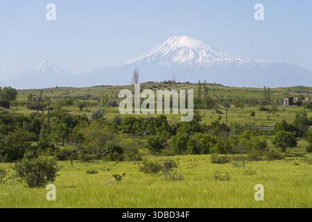 Pascolo verde con montagne innevate sullo sfondo e capanne sparse, vista sul grande e piccolo Ararat in Turchia, vicino a Ujan, provincia di Aragazotn Foto Stock