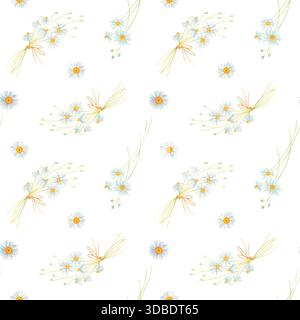 Motivo floreale senza cuciture acquerello con mazzi di fiori di camomilla su sfondo bianco. Foto Stock