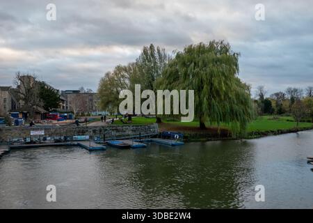Sul lungofiume di Cambridge, con salice piangente e battelli in pugno in una giornata nuvolosa Foto Stock
