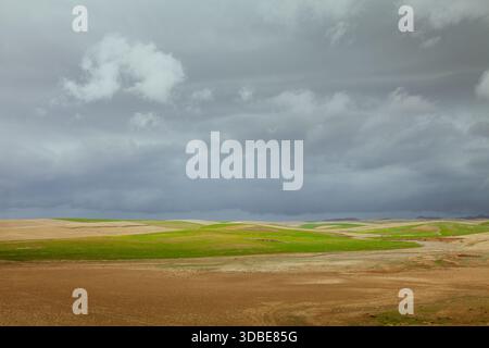 Una bella scena minimale di una pianura sotto un cielo nuvoloso grigio nella provincia di Zanjan in Iran. Splendida vista del deserto in primavera. Foto Stock
