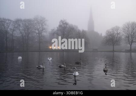 Glasgow, Regno Unito, 16 dicembre 2025. Swans in the dark of Dawn on a nebbiosa mattina a QueenÕs Park, Glasgow, Scozia, 16 dicembre 2025. Crediti immagine: Jeremy Sutton-Hibbert/ Alalmy Live News Foto Stock