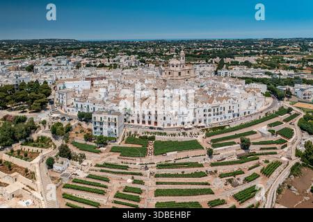 Vista aerea di edifici imbiancati che brillano sotto il sole, annidati tra paesaggi terrazzati che conducono alla chiesa centrale della città, Locorotondo, Foto Stock
